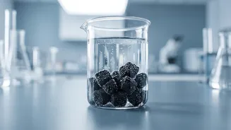 Microplastic Filtration Innovations: Cheap Rice Husk Bio-Char Upgrades City Tap Water