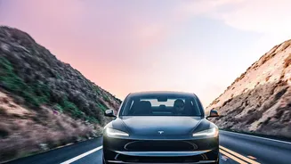 Indian Urban Roads Give Tesla's Cameras a Highly Dynamic Scene