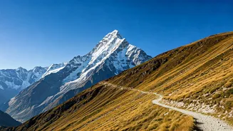 Record Breaking Registration Rush For Annual Amarnath Yatra Mountain Trek
