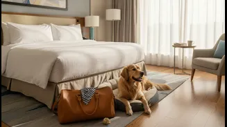 The Best Pet-Friendly Stays Explain Their Policies Before Arrival
