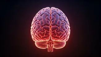 Boost Your Brain: Exercise for Cognitive Health