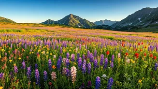 High-Altitude Meadows Make This Trek Worth It