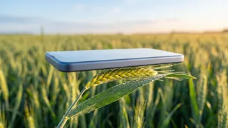 Smartphone AI Sensors Help Farmers In Punjab Detect Crop Diseases Before Harvest Loss