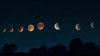 Indian Stargazers Should Watch The Moon's Calendar