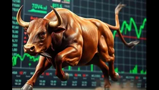 Sensex Surges 1,400 Points, Investors Gain Rs 9 Lakh Crore; Key Reasons Behind Why Is Market Rising