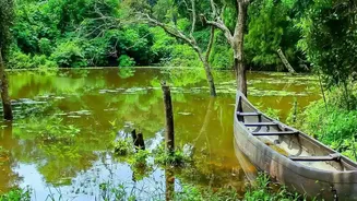 Kumarakom Homestays Offer Budget Minded Travellers Peaceful Kerala Backwater Escapes Today