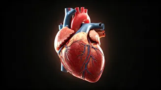 10 Tell-Tale Signs: Are You Overtraining Your Body?