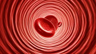 Boost Your Health with These Circulation Tips