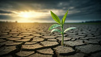 Why Household Budgets Depend On A Good Monsoon