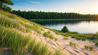 Indiana Dunes National Park: A Biodiverse Midwest Gem Near Chicago