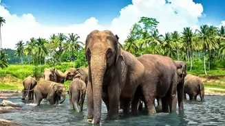 More Indian Travel Circuits Are Linking Wildlife, Heritage And Rural Experiences In A Single Journey