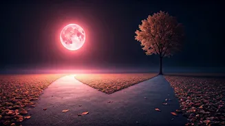 Pink Full Moon: 7 Cosmic Clues You're on the Brink of a Major Life Overhaul
