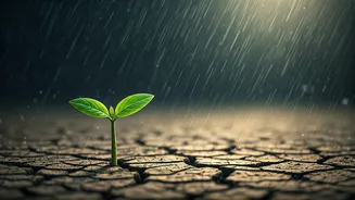 Monsoon Motivation Starts With Small Steps