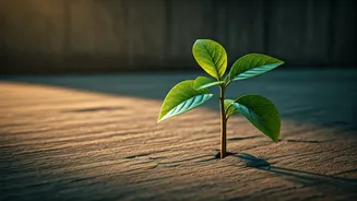 Raising Resilient Kids: Expert Dr. Amen's Simple Guide to Fostering Independence