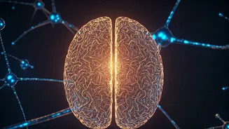 Dario Amodei: AI's Ascent and the Mystery of Consciousness