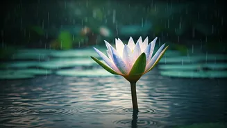 Indians Are Choosing Wellness Over Bragging Rights This Monsoon