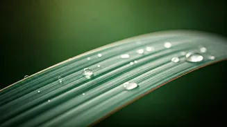 Beat Monsoon Acne With Smarter Daily Habits