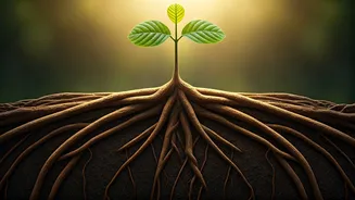 Related Stories banner