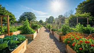 Redefining Life After Sixty: Purposeful Living for Seniors