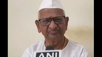 'It's Their Fault': Anna Hazare Slams AAP After Raghav Chadha's Exit