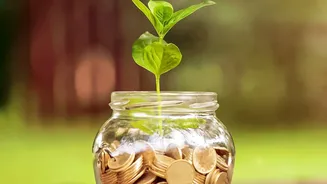 Index Funds Versus Multi-Cap Funds: A Practical Selection Guide For Young Earner Portfolios