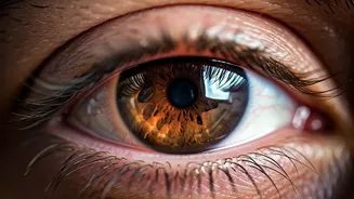 Related Stories banner