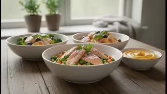 Gourmet Pet Food Can Improve Variety But Needs Careful Meal Planning