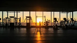 Morning vs. Evening Workout: Fitness Insights