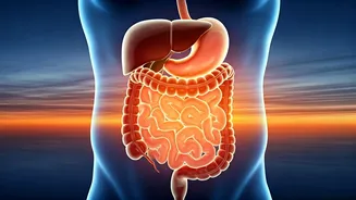 Ditch the Late-Night Snacks: Expert Nutritionist Explains Why Eating After Sunset Hurts Your Health