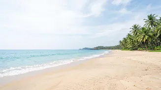 Why South Goa Quiet Beaches Provide Ideal Backgrounds For Remote Work Calls