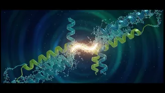 Protein Switch Headlines Should Explain What Scientists Actually Found