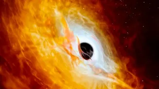 Microblazar Candidate IRAS 18293-0941 and Astronomers' Strongest Reported Microblazar Candidate: What to Know