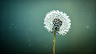 8 Silent Killers of Inner Peace: Reclaim Your Calm Today!