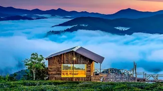 How Circadian Reset Stays In Quiet Hill Stations Rejuvenate Burnt-Out Millennial Minds