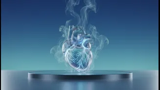 How To Modify Indoor Cardio Workouts To Mitigate Safe Humidity-Induced Heart Strain Risks