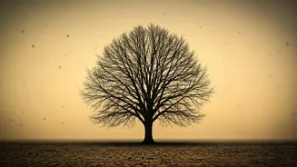 Delhi's Air Crisis: Understanding Pollution's Grip and Health Risks