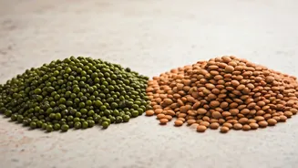 Moong vs Arhar Dal: Unlocking Faster Weight Loss with Nutritional Insights