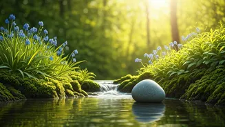 Be Happier: Simple Steps Boost Mental Health