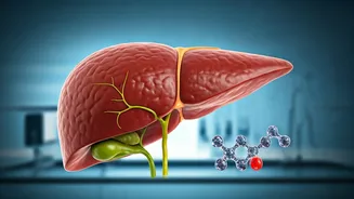 Asthma Drug Discovery: Could Formoterol Reverse Fatty Liver Disease (MASH)?