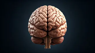 5 Habits for a Sharper Brain After 40