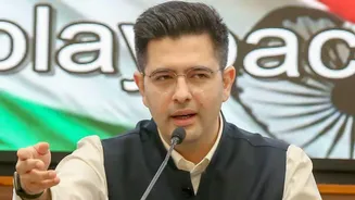 Delhi HC orders removal of 5 documents against Raghav Chadha