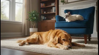 Dog and Cat Interactions Is Useful Context, Not a Guarantee, for Pet Owners and Wellbeing Readers