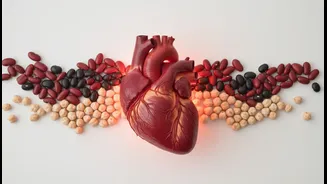 Can Beans Help Your Heart? Researchers Share New Clues