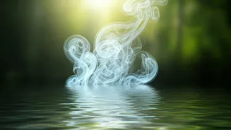 Meditation Is Not About Becoming Thoughtless