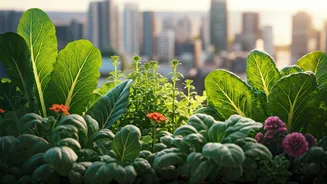 Why Urban Gardening Feels Different