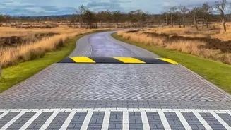 A Protected Surface Gives Incoming Items a Temporary Decision Zone
