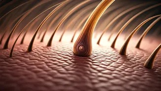 Decoding DHT Hair Loss: Understanding the Culprit and Recognizing the Signs