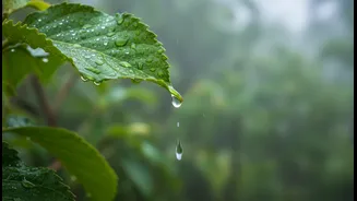 How To Spot Hidden Dehydration During Monsoon Runs, Walks And Gym Sessions