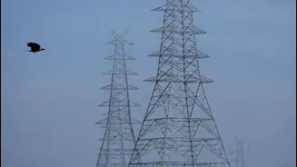 Maharashtra to launch $1bn IPO for state power distributor