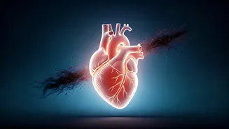 Jay Shetty's Wisdom: Taming Inner Toxicity for a Purer World